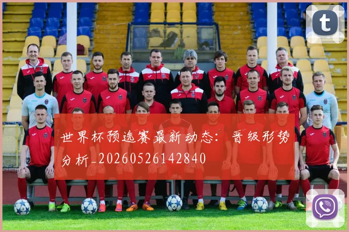 世界杯预选赛最新动态：晋级形势分析_20260526142840