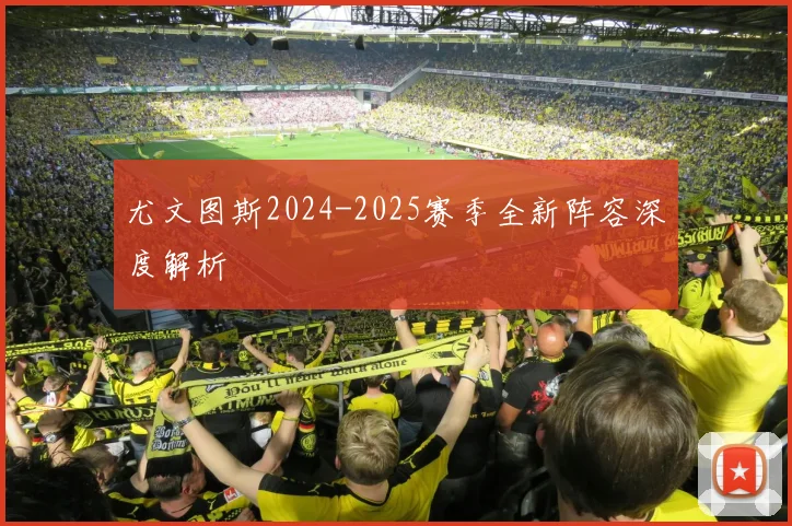 尤文图斯2024-2025赛季全新阵容深度解析
